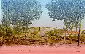 SIDI BEL ABBES 181